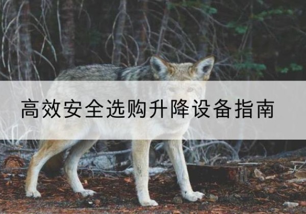 尼勒克升降货梯厂家推荐-*安全选购升降设备指南