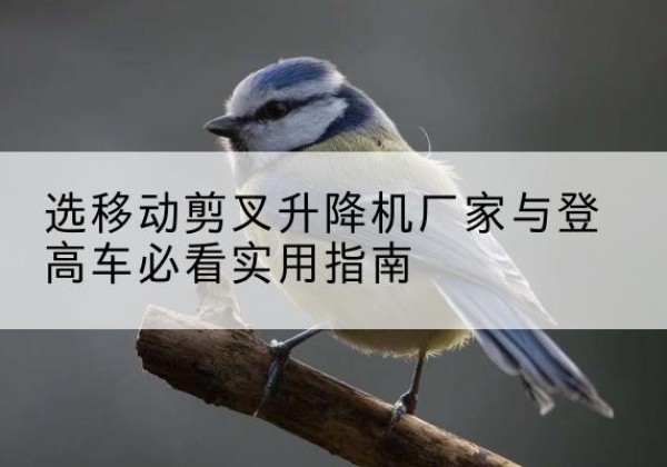 尼勒克电动升降机厂家-选移动剪叉升降机厂家与登高车必看实用指南