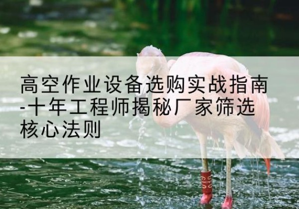 尼勒克剪叉式升降机厂家-高空作业设备选购实战指南-十年工程师揭秘厂家筛选核心法则